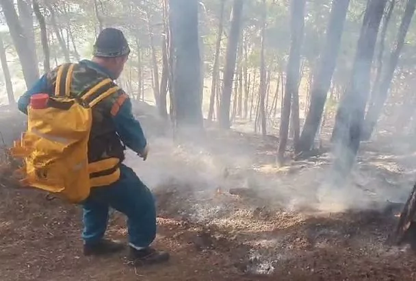 Лесной пожар под Геленджиком потушен