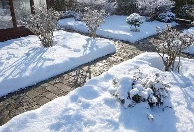 Снег на участке: куда кидать можно, а куда нельзя - для защиты сада и дома в 2026 году