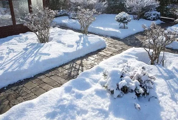 Снег на участке: куда кидать можно, а куда нельзя - для защиты сада и дома в 2026 году