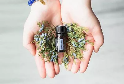 Назван простой способ защититься от гриппа и простуды