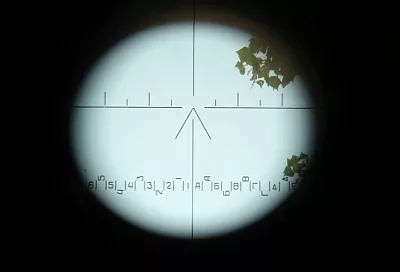 Неизвестные открыли стрельбу на пляже в Австралии: погибли 10 человек, в том числе дети