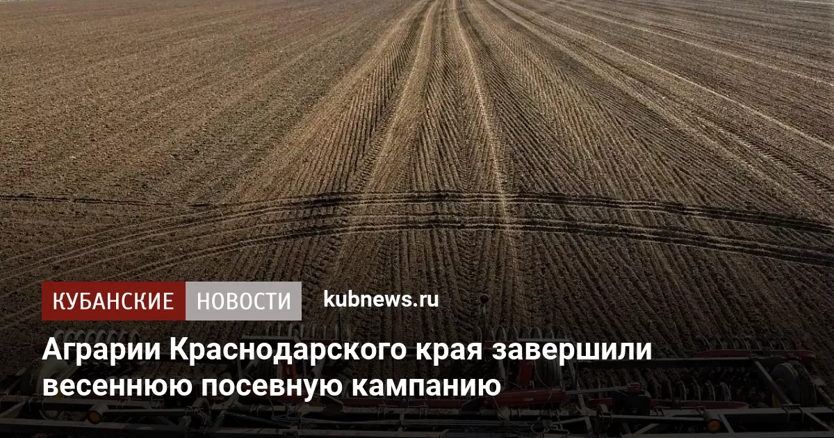 Аграрии Краснодарского края завершили весеннюю посевную кампанию