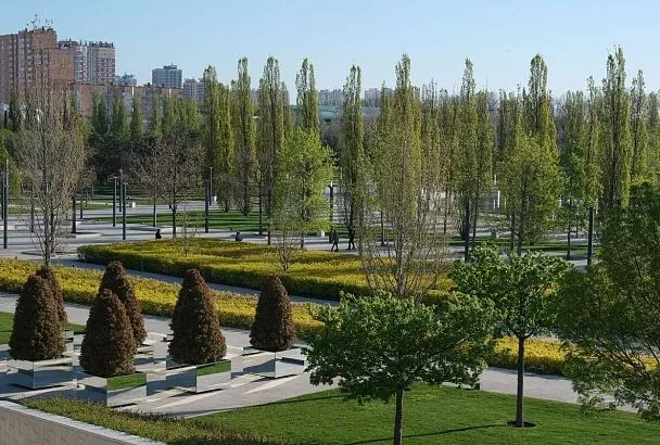 Эксперт РСТ назвал парк Галицкого в Краснодаре одним из лучших мест России для флоротуризма