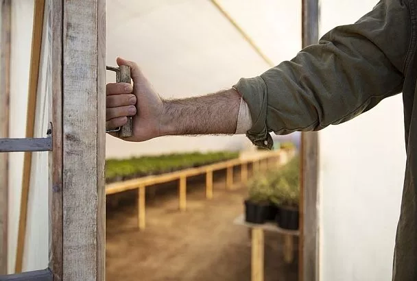 Накрыл томаты при +5°C в июне 2025-го так — и спас урожай: топ-3 укрытий от агрономов