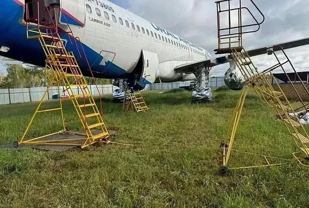 С посадившего в поле самолет рейса Сочи - Омск пилота хотят взыскать 119 млн рублей