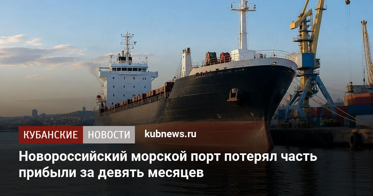 Новороссийский морской порт потерял часть прибыли за девять месяцев