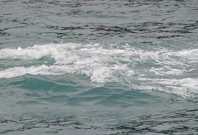 ЧФ отражена атака безэкипажных катеров ВСУ в Черном море 