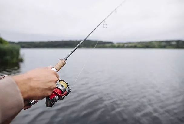 Судак весной разрывает эту деликатную приманку: маленький секрет больших трофеев