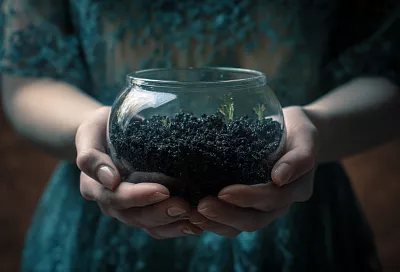 Вы разучились трогать землю. А именно она может спасти ваш иммунитет и психику