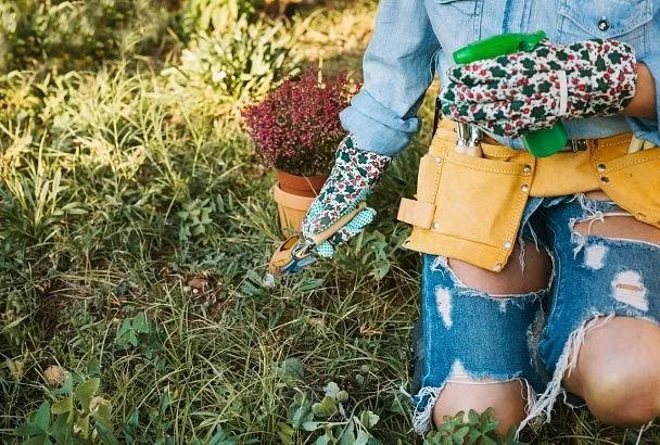 Сначала на маркетплейс, потом - на дачу: эти советы помогут спасти ваши колени и суставы от травм и непосильных нагрузок во время садово-огородных работ