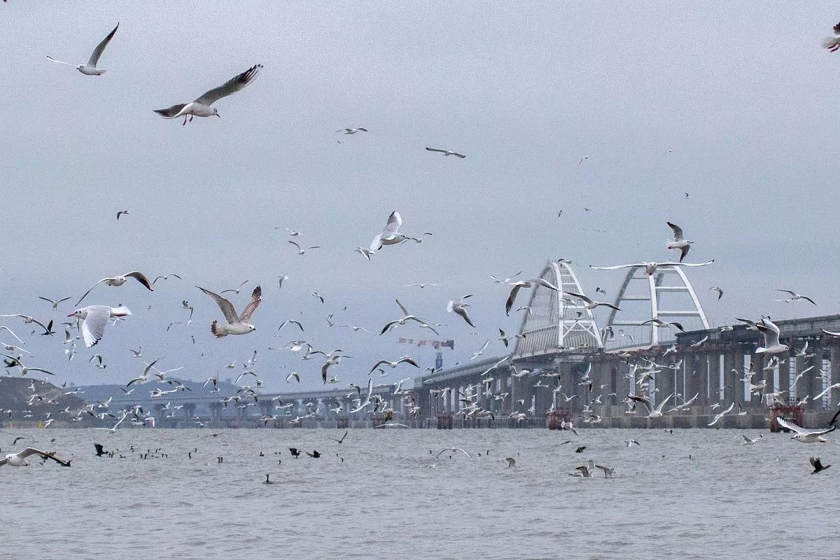 Зимняя подкормка пернатых – один из этапов экопрограммы проекта моста. Зимняя подкормка пернатых – один из этапов экопрограммы проекта моста.