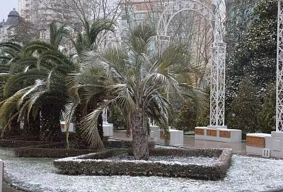 Отдых в сочинском поселке Лазаревское стал самым бюджетным этой зимой