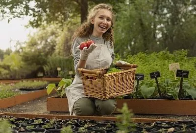 Лунный календарь с 13 по 19 сентября: о чем говорит садоводам убывающая Луна