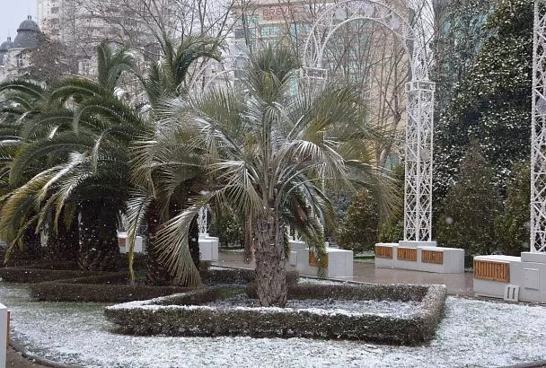 Отдых в сочинском поселке Лазаревское стал самым бюджетным этой зимой