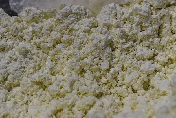 В МЦУ Краснодар прокомментировали информацию о поставке некачественной молочной продукции в школы