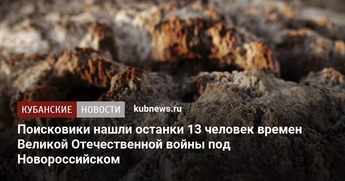 Поисковики нашли останки 13 человек времен Великой Отечественной войны под Новороссийском