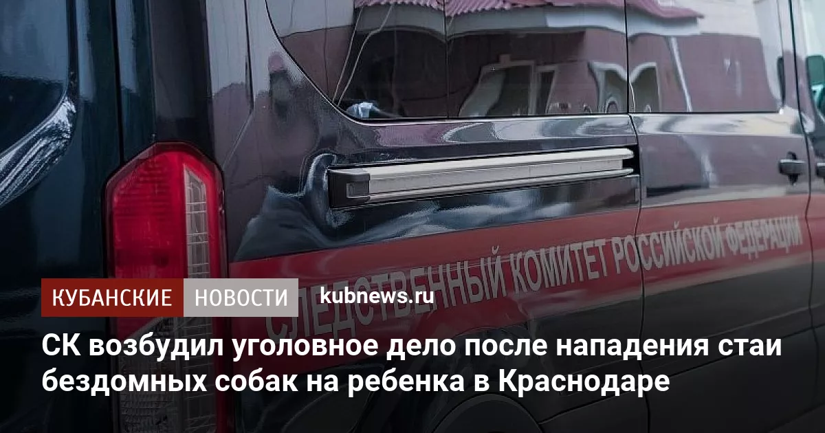 СК возбудил уголовное дело после нападения стаи бездомных собак на ребенка в Краснодаре