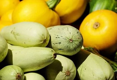 Так кабачки без погреба хранятся до зимы: 4 лучших места в квартире от агронома