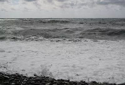 В Минобороны сообщили о сбитых за ночь беспилотниках над Черным и Азовским морями