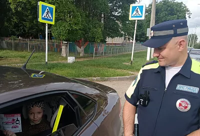 Госавтоинспекторы Выселковского района напомнили детям и водителям о безопасности в начале лета