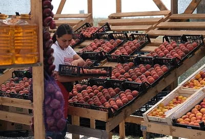 За спелыми фруктами - к местным фермерам: где будут работать ярмарки выходного дня в Краснодаре 19 июля