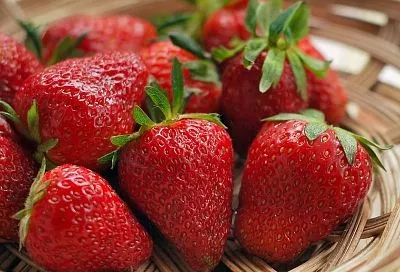 Соседи ахнут! Собирайте гигантскую клубнику ведрами: 3 проверенных лайфхака