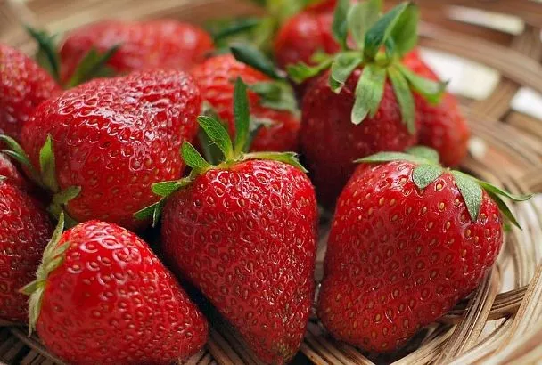 Соседи ахнут! Собирайте гигантскую клубнику ведрами: 3 проверенных лайфхака