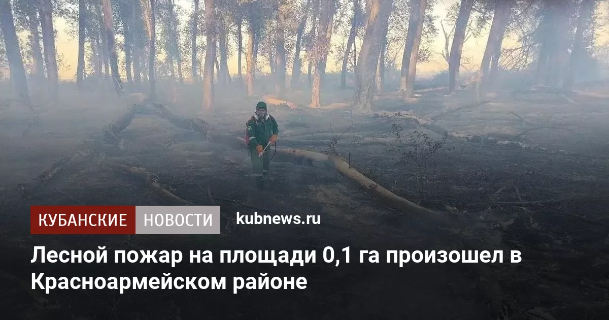 Лесной пожар на площади 0,1 га произошел в Красноармейском районе