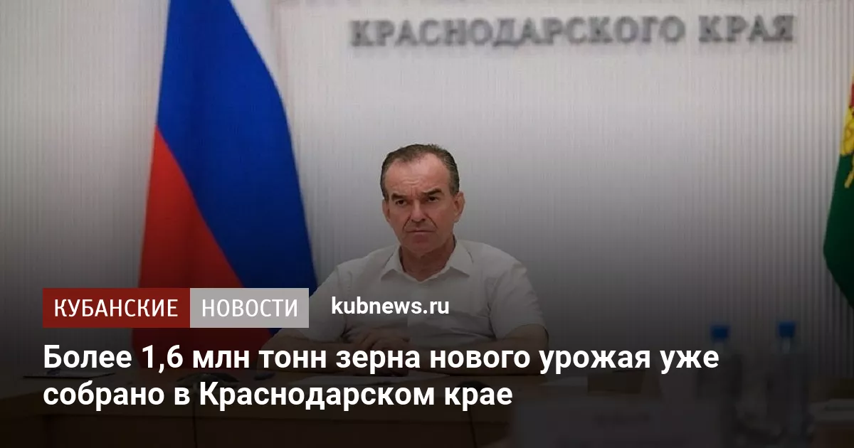 Более 1,6 млн тонн зерна нового урожая уже собрано в Краснодарском крае