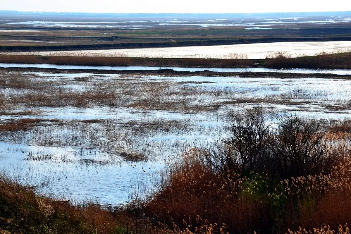 Ахтаро-Гривенская система лиманов — уникальное водно-болотное угодье международного значения, охраняемое Рамсарской конвенцией 