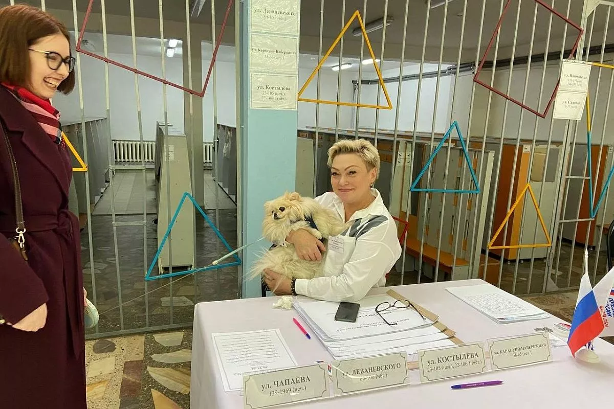 Пушистой красотке на избирательном участке все обрадовались.