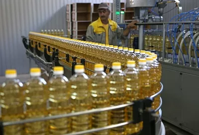 В Краснодарском крае годовой план по экспорту сельхозпродукции выполнен на 44%