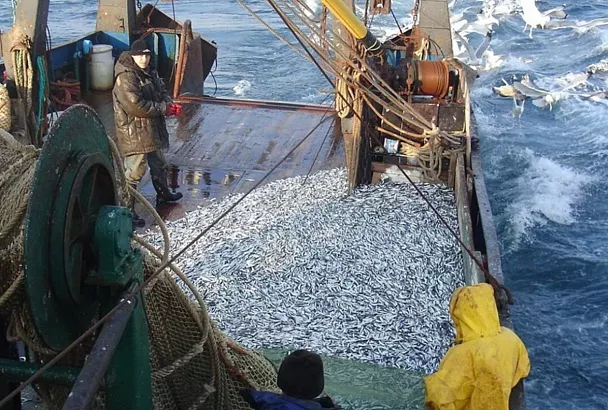 Правительство РФ направит на поддержку рыболовства в Черном и Азовском морях 241 миллион рублей
