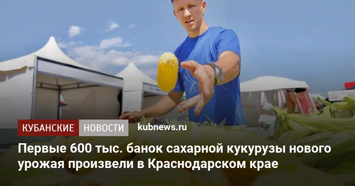 Первые 600 тыс. банок сахарной кукурузы нового урожая произвели в Краснодарском крае