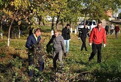 Более 800 человек приняли участие в субботнике на Ростовском шоссе в Краснодаре