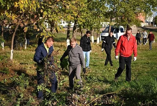 Более 800 человек приняли участие в субботнике на Ростовском шоссе в Краснодаре