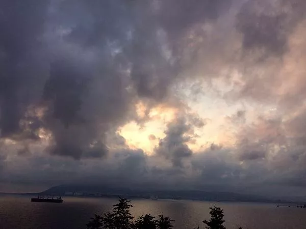 Без названия