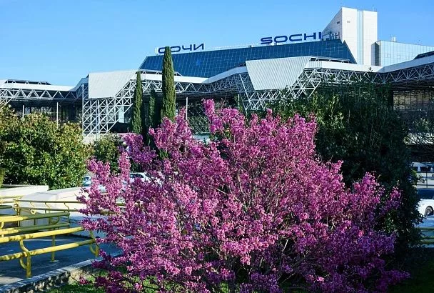 Аэропорт Сочи переходит с 29 марта на весенне-летнее расписание полетов