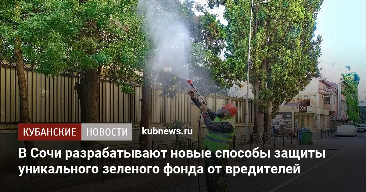 В Сочи разрабатывают новые способы защиты уникального зеленого фонда от вредителей