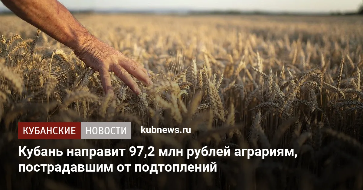 Кубань направит 97,2 млн рублей аграриям, пострадавшим от подтоплений