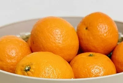 Более 23 тысяч тонн мандаринов поступило с начала года в Россию через Краснодарский край из Турции