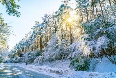 Можно ли управлять погодой с самолёта? Экологи и учёные дали противоположные ответы