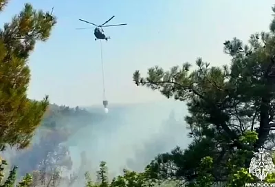 Крупный лесной пожар под Геленджиком локализован