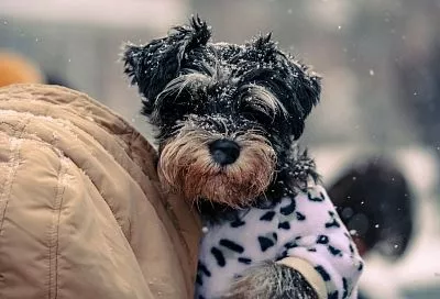 Ультраполярное вторжение обрушит температуры: ночные морозы до -12 градусов ударят в Краснодарском крае