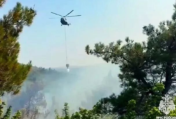 Крупный лесной пожар под Геленджиком локализован