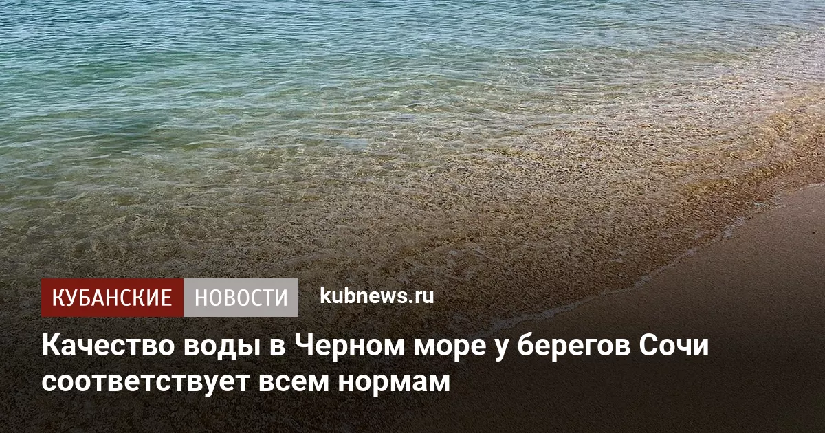 Качество воды в Черном море у берегов Сочи соответствует всем нормам