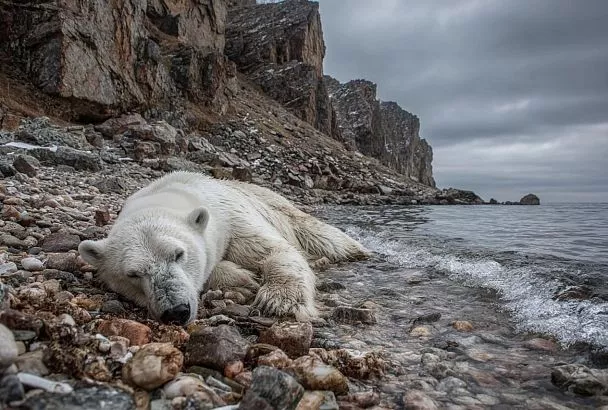 Почему средняя температура планеты — не идеальный показатель климата
