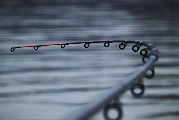 Удочки-трансформеры: 5 снастей в одной. ТОП-5 бюджетных моделей 2025