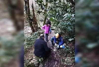Спасатели эвакуировали из ущелья в Сочи туриста с травмой ноги