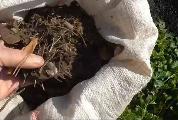 Эффективный способ снегозадержания: 3 приема (с хворостом) для защиты урожая клубники от мороза в 2025 году